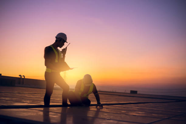 Roof Moss and Algae Removal in Los Fresnos, TX